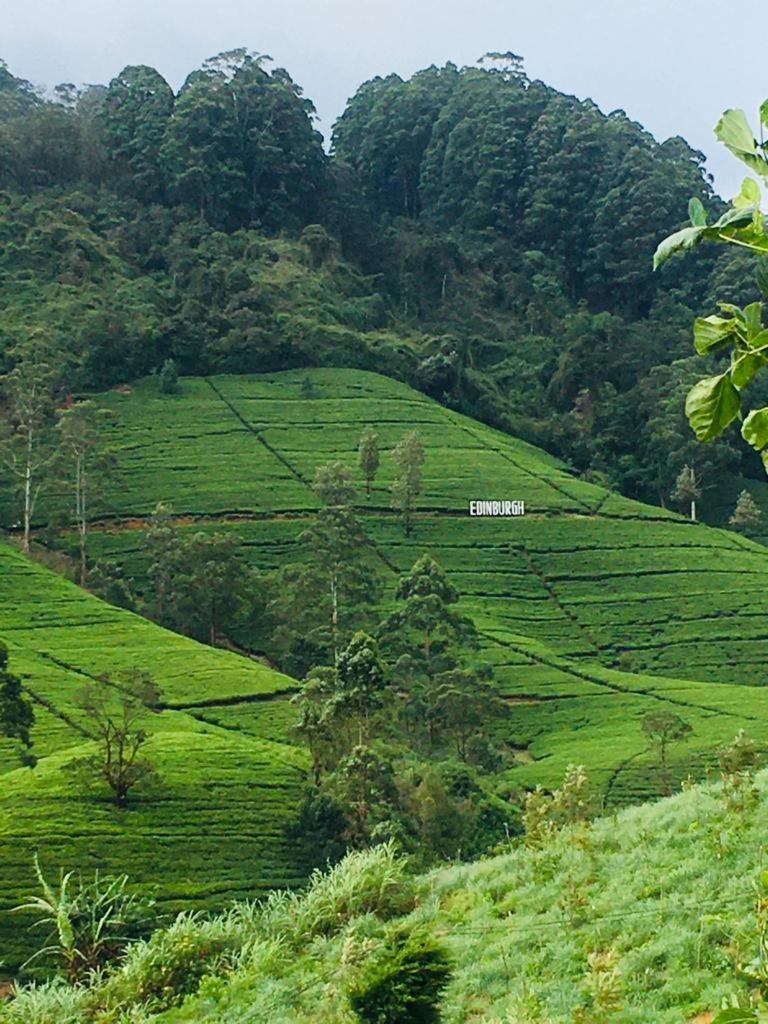 Ansi Villa Nanu Oya Luaran gambar
