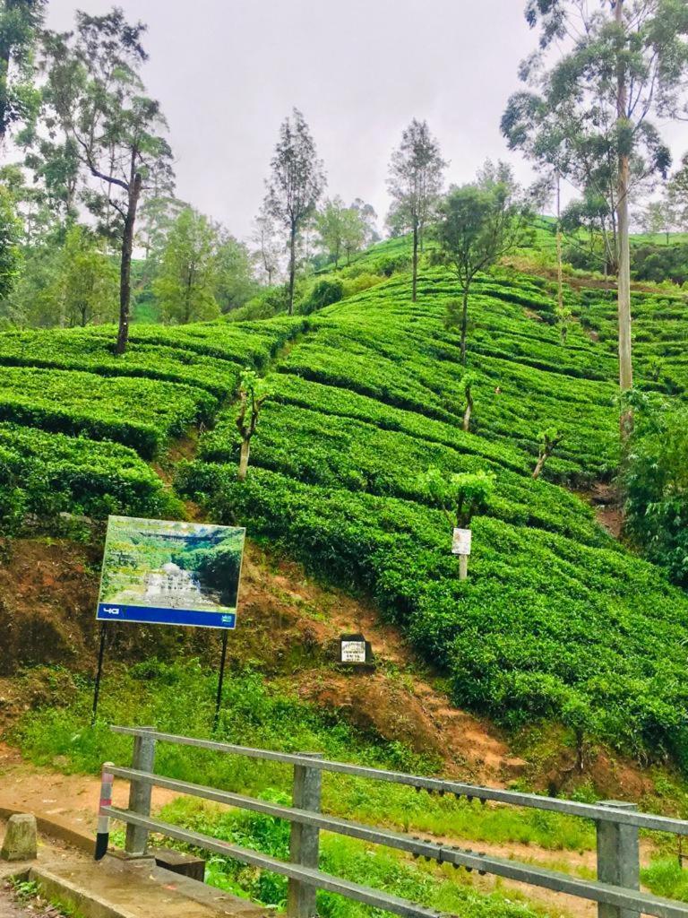 Ansi Villa Nanu Oya Luaran gambar